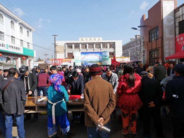 ��������չ2017�ꡰ�����硱�